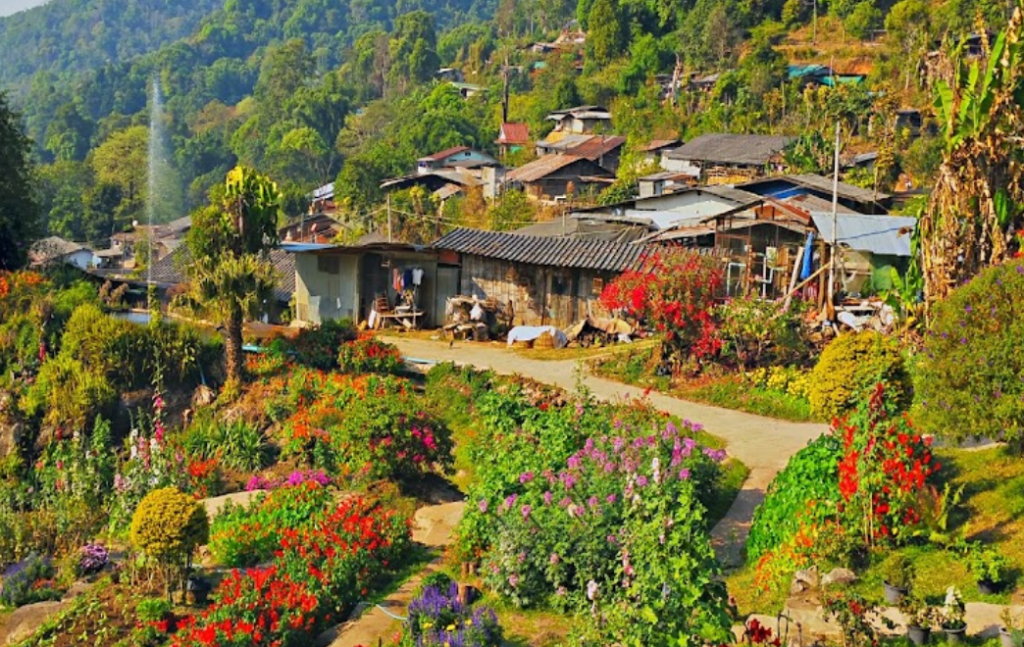 Chiang mai hmong