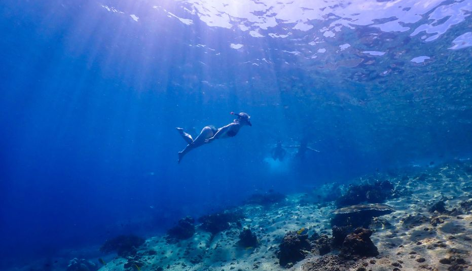chaweng snorkeling