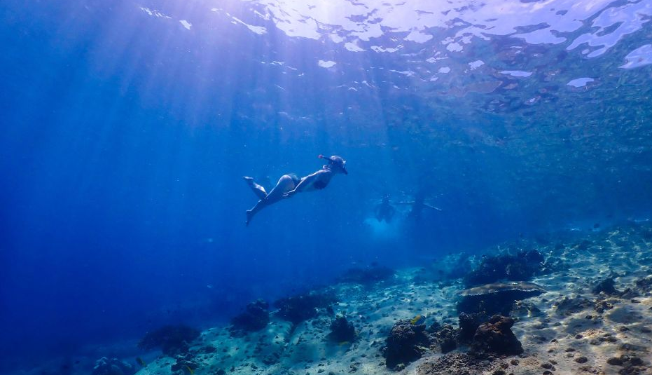 que visiter à koh samui snorkeling