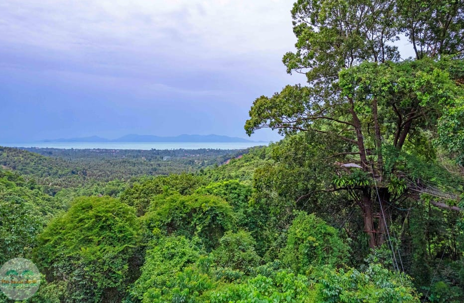 que visiter à koh samui zipline