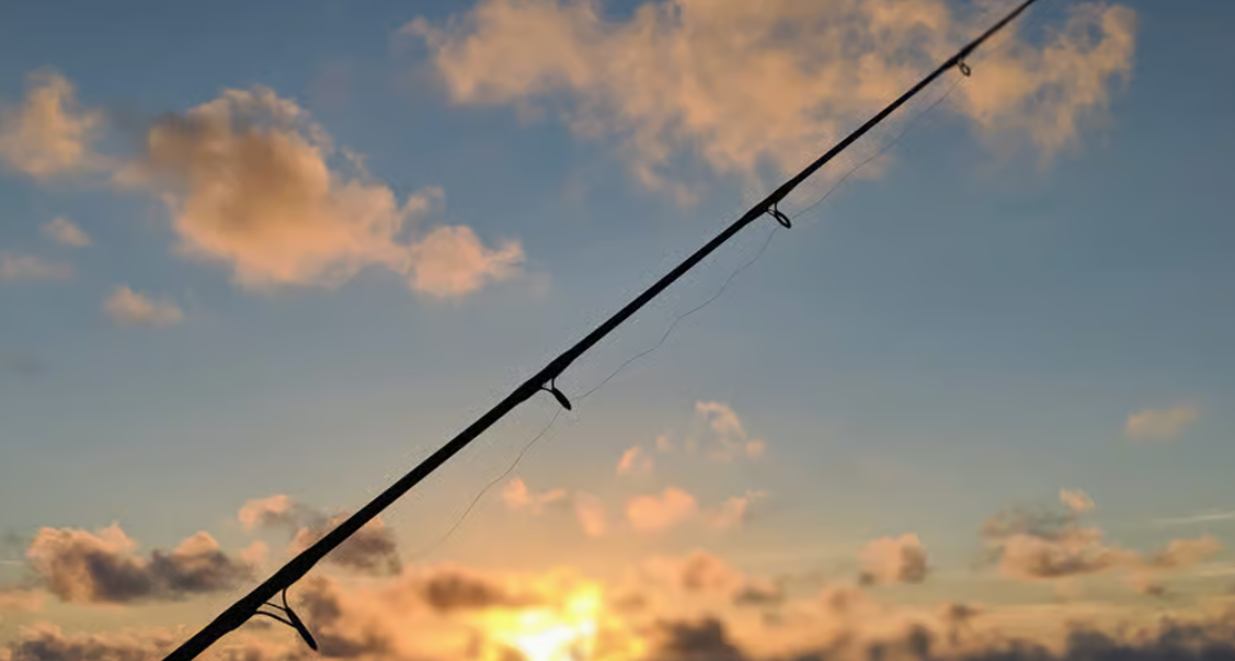 Lire la suite à propos de l’article Mon Aventure de Pêche à Koh Samui : Une Expérience Inoubliable de Jour comme de Nuit